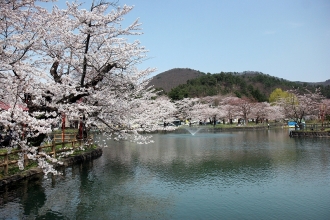 写真：真人公園