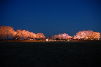 写真：十五野公園の夜景（平鹿）