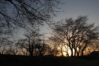 写真：十五野公園（平鹿）