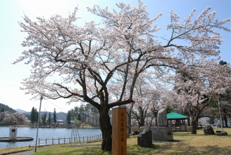 写真：鶴ケ池公園