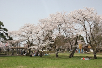 写真：梨木公園