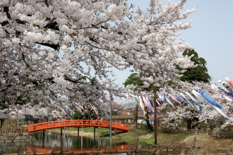 写真：梨木公園