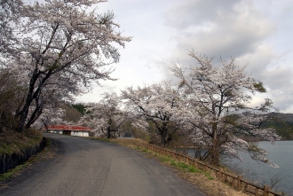 写真:相野々ダム(山内)