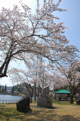 写真:鶴ケ池公園