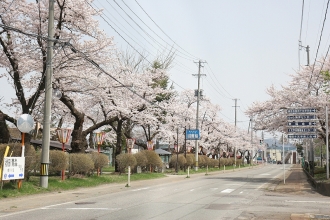 写真:十文字第一小学校通り