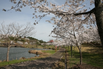 写真：大森公園