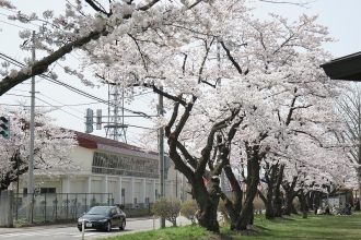 写真:十文字第一小学校通り