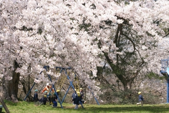 写真：大森公園