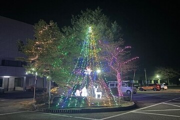 大雄庁舎前のイルミネーションの写真