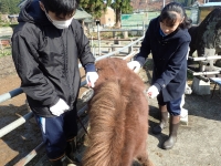 写真：グリーンツーリズム7