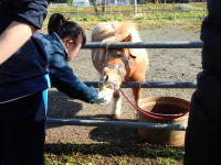 写真：グリーンツーリズム6