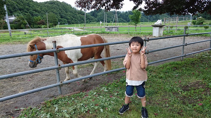 写真：ポニーとこども