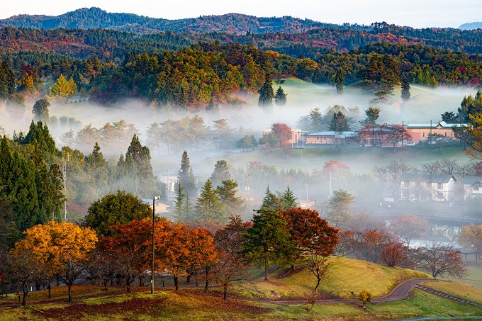 写真：雲海に包まれる紅葉