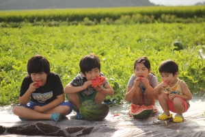 写真：スイカを食べる子どもたち