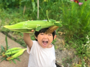 写真:とうもろこしを持つ子どもの様子