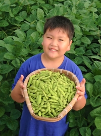 写真:野菜を持つ子どもの様子