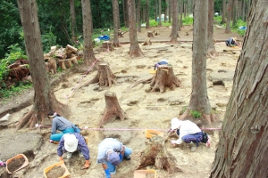 写真：検出された多数の柱穴跡