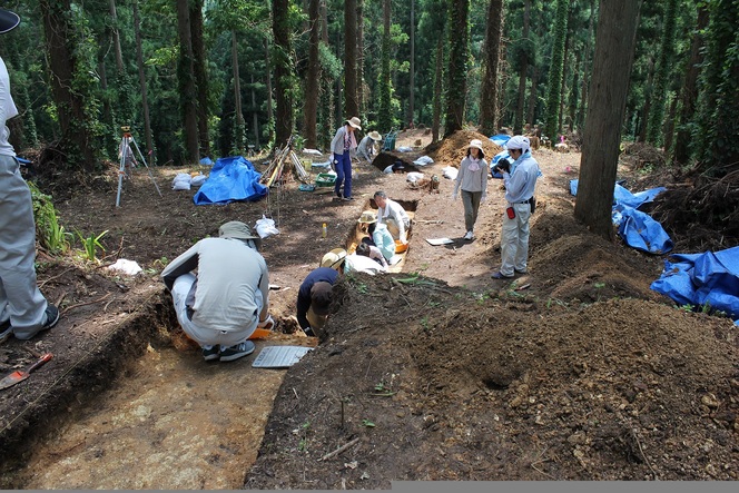 写真：斜面部の調査の様子