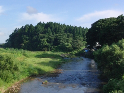 写真：南側からの大鳥井山