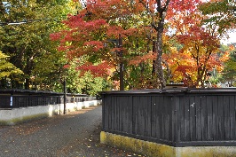 写真：羽黒町武家屋敷通り（秋）