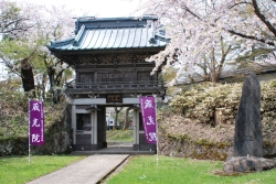 写真：蔵光院山門