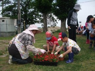 写真：花壇の手入れ