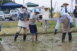 写真：田植え指導