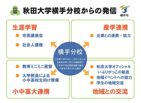 イラスト：秋田大学横手分校フロー図