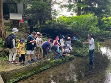写真：わき水探検