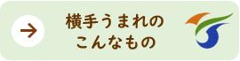 バナー：横手うまれのこんなもの