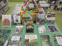 企画展示の写真