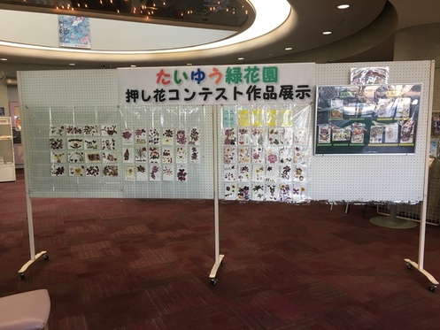 たいゆう緑花園押し花コンテスト作品展示