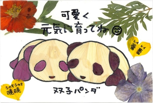 写真：大人の部入選の田牧菜保子（たまきなほこ）さん（横手市在住）の押し花は「可愛く元気に育ってね（笑顔マーク）双子パンダ」という言葉が添えられた2頭の赤ちゃんパンダがモチーフの作品。