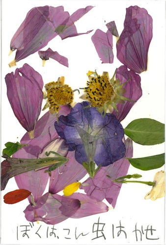 写真：子供の部入選の小西絆想（こにしくおん）さん（横手市在住）の押し花は「ぼくは、こん虫はかせ」という言葉が添えられた、花びらと葉でクワガタを描いた作品。