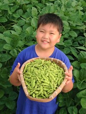 野菜