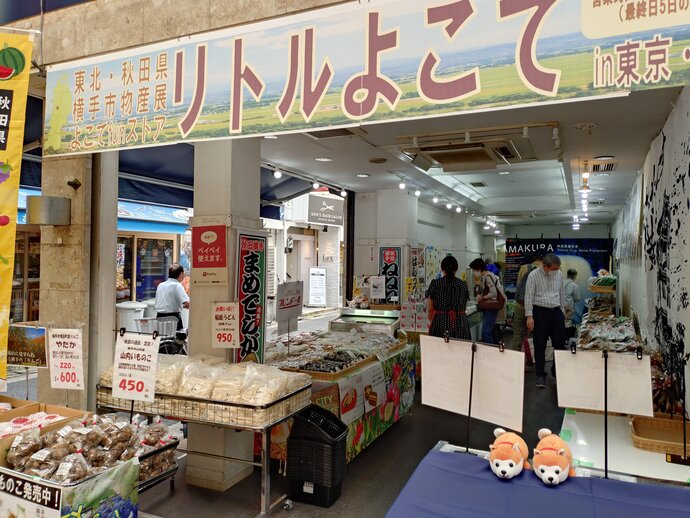 リトルよこてin東京・新小岩