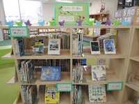 企画展示の写真
