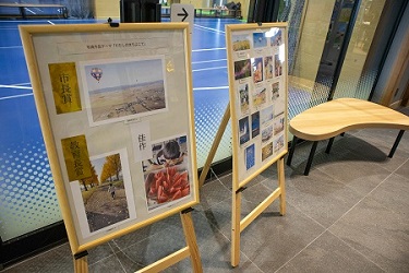 展示03