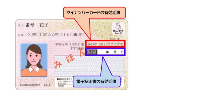 マイナンバーカード見本の画像