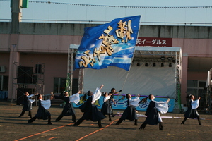 よさこい横舞伝の踊り