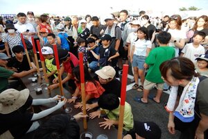 カブトムシの木登りレース