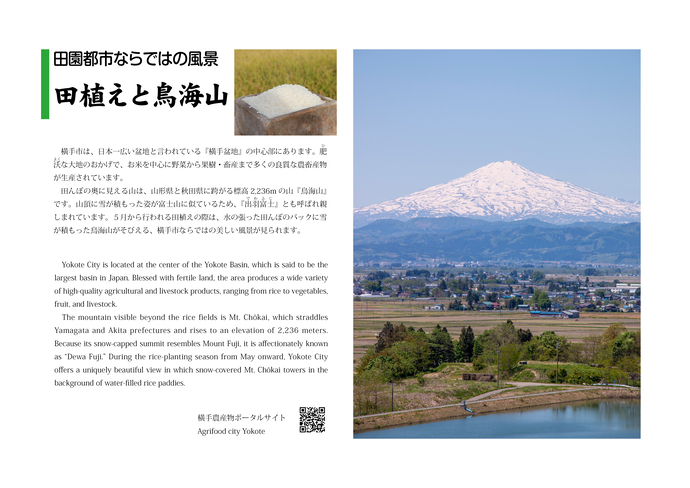 田植えと鳥海山紹介パネル