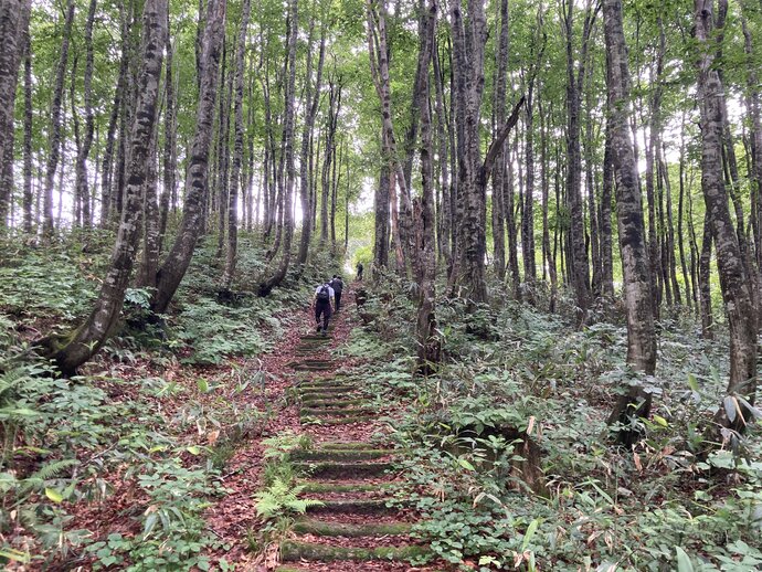 御嶽山参道の写真