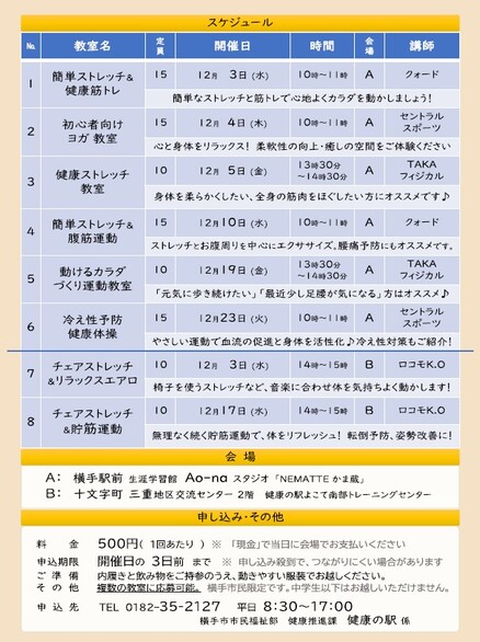 11月15日市内全戸配布チラシ(うら)