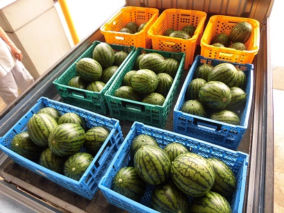7月16日の給食の写真2