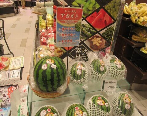 令和7年度のすいかフェアの写真
