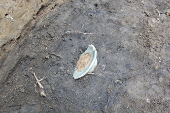 遺物の写真